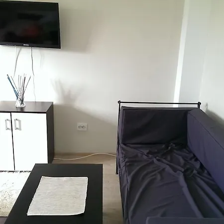 Studio Nicu Apartment *